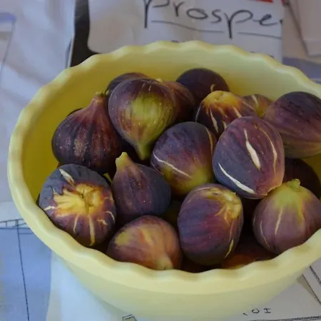 Cactus Hideaway With Sea Views * Imerovigli (Santorini)