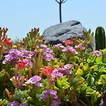 Cactus Hideaway With Sea Views 度假居