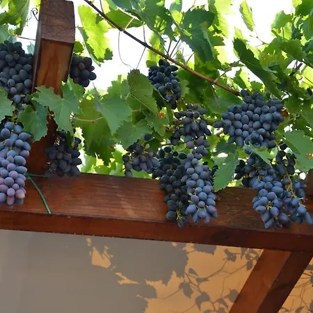 Cactus Hideaway With Sea Views Σπίτι διακοπών Ημεροβίγλι