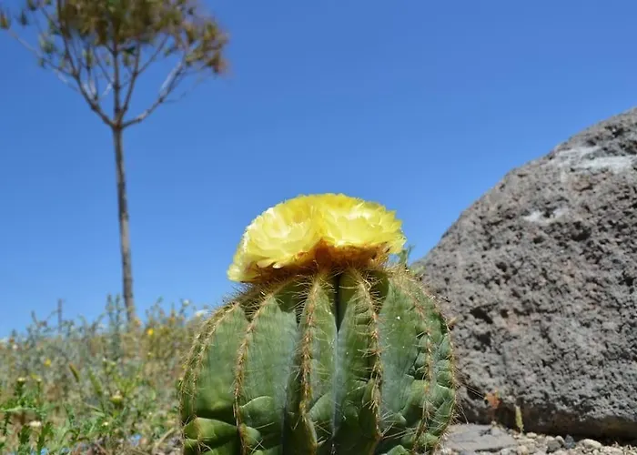 펜션 Cactus Hideaway With Sea Views *