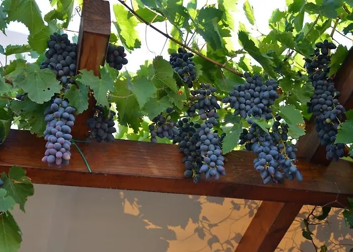 Cactus Hideaway With Sea Views Casa de Férias Imerovigli (Santorini)