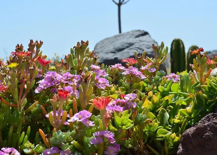 Cactus Hideaway With Sea Views Casa de Férias