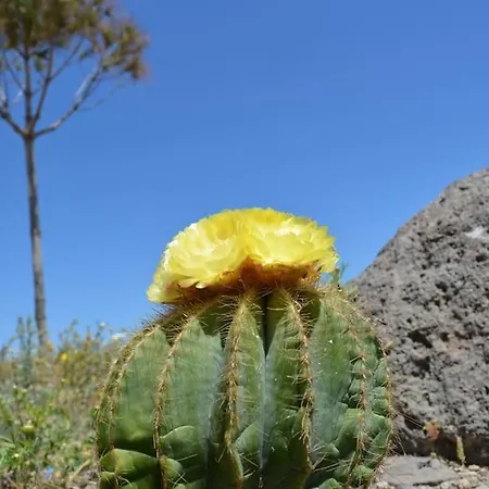 Feriehus Cactus Hideaway With Sea Views *