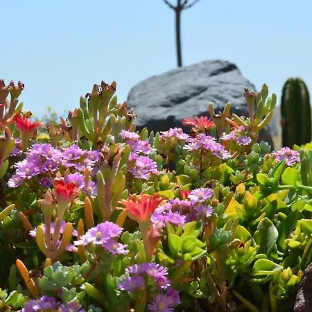 Cactus Hideaway With Sea Views Holiday home
